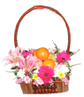 Gift Baskets: GB032